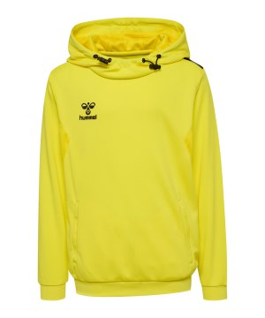 hummel-authentic-pl-hoody-kids-gelb-f5269-219977-indoor_front.png