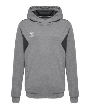 hummel-authentic-pl-hoody-kids-grau-f2006-219977-indoor_front.png