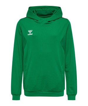 hummel-authentic-pl-hoody-kids-gruen-f6235-219977-indoor_front.png