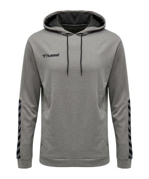 hummel-authentic-poly-hoody-grau-f2006-204930-teamsport_front.png