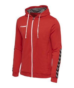 hummel-authentic-poly-kapuzenjacke-f3062-204937-teamsport_front.png