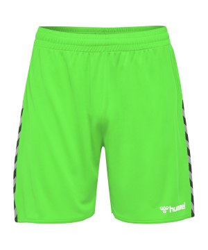 hummel-authentic-poly-short-gruen-f6750-204924-teamsport_front.png