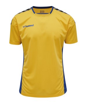 hummel-authentic-poly-trikot-kurzarm-gelb-f5167-204919-teamsport_front.png