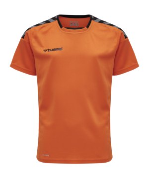 hummel-authentic-poly-trikot-kurzarm-kids-f5006-204920-teamsport_front.png