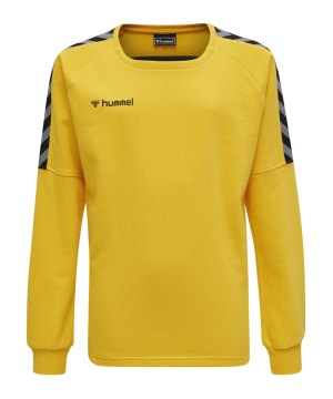 hummel-authentic-training-sweatshirt-kids-f5001-205374-teamsport_front.png