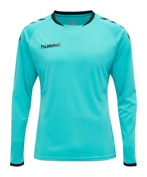hummel-core-gk-torwarttrikotset-kids-blau-f7905-205281-teamsport_front.png