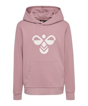 hummel-cuatro-hoody-kids-lila-f4852-213850-indoor_front.png