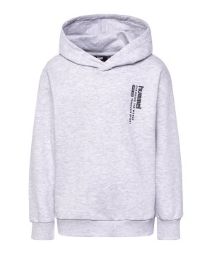 hummel-dante-hoody-kids-grau-f1168-223890-indoor_front.png