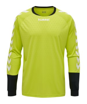 hummel-essential-torwarttrikot-hellgruen-f6102-004087-teamsport_front.png