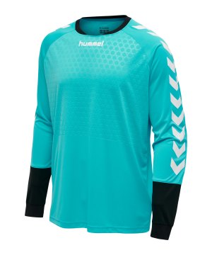 hummel-essential-torwarttrikot-kids-blau-f7905-104087-teamsport_front.png
