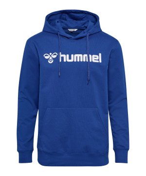 hummel-go-2-0-logo-hoody-blau-f7045-224843-indoor_front.png