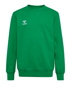 hummel-go-2-0-sweatshirt-kids-gruen-f6235-224836-indoor_front.png