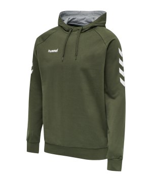 hummel-go-cotton-hoody-kapuzenpullover-f6084-203508-teamsport_front.png