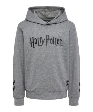 hummel-harry-potter-hoody-kids-grau-f2800-222550-indoor_front.png
