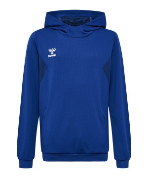 hummel-hmlauthentic-pl-hoody-kids-blau-f7045-219977-teamsport_front.png