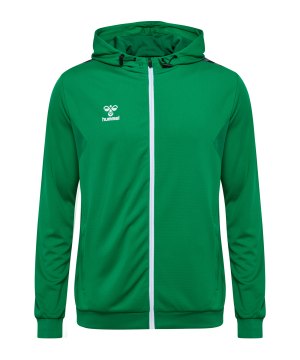 hummel-hmlauthentic-pl-kapuzenjacke-gruen-f6235-219979-teamsport_front.png