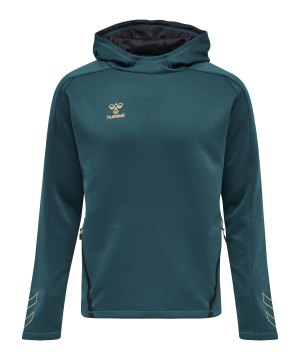 hummel-hmlcima-xk-hoody-blau-f7058-211576-teamsport_front.png