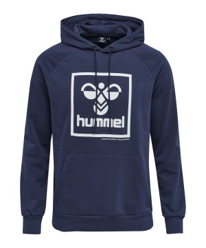 hummel-hmlisam-2-0-hoody-grau-f7666-214333-fussballtextilien_front.png