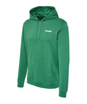 hummel-hmllgc-gabe-hoody-gruen-f6110-218994-lifestyle_front.png