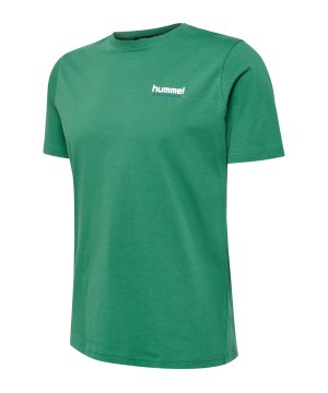 hummel-hmllgc-gabe-t-shirt-gruen-f6110-218998-lifestyle_front.png