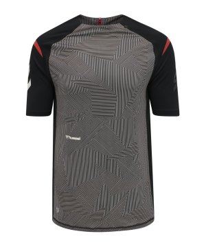 hummel-hmlpro-xk-pre-game-trikot-beige-f2353-211413-fussballtextilien_front.png