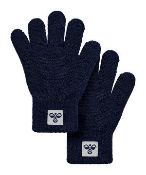 hummel-knit-2-pack-handschuhe-kids-blau-f7459-229961-equipment_front.png