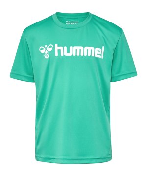 hummel-logo-trikot-kids-gruen-f6507-226164-indoor_front.png