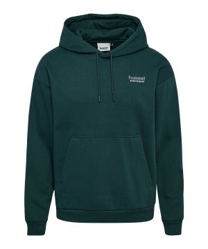 hummel-loose-sportswear-hoody-gruen-f6565-226076-indoor_front.png