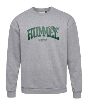 hummel-loose-university-bee-sweatshirt-grau-f2006-226134-indoor_front.png