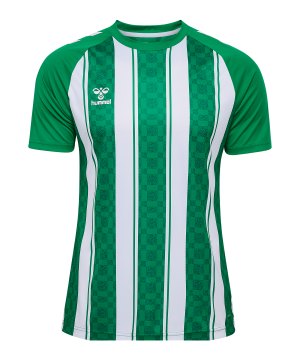 hummel-match-striped-trikot-gruen-f6129-233155-indoor_front.png