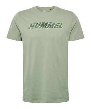 hummel-te-effort-cotton-t-shirt-gruen-f6092-223842-indoor_front.png