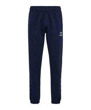 hummel-travel-jogginghose-blau-f7026-220306-indoor_front.png