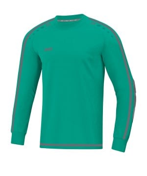 jako-striker-2-0-torwarttrikot-kids-tuerkis-f24-fussball-teamsport-textil-torwarttrikots-8905.png