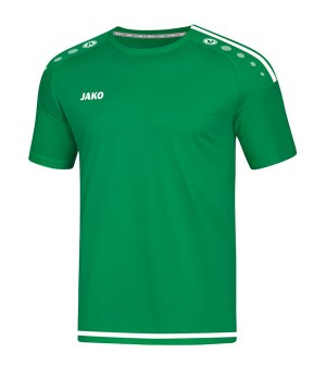 jako-striker-2-0-trikot-kurzarm-gruen-weiss-f06-fussball-teamsport-textil-trikots-4219.png
