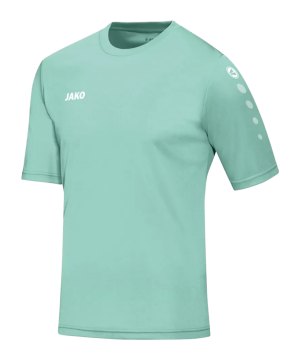 jako-team-ka-trikot-gruen-f251-4233-teamsport_front.png