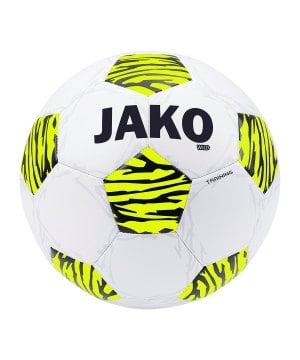jako-wild-trainingsball-weiss-f648-2309-equipment_front.png