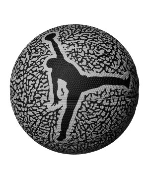 jordan-skills-2-0-graphic-basketball-grau-f056-9018-16-equipment_front.png