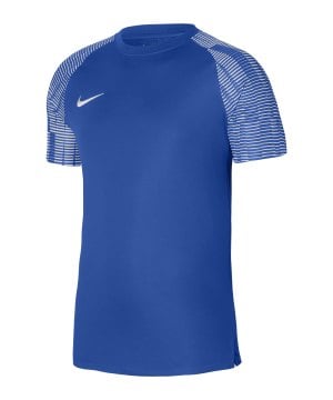 nike-academy-trikot-blau-weiss-f463-dh8031-teamsport_front.png