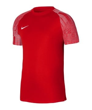 nike-academy-trikot-rot-weiss-f657-dh8031-teamsport_front.png