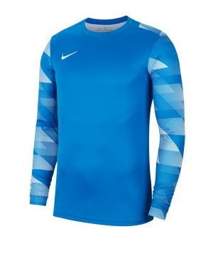 nike-dri-fit-park-iv-trikot-kurzarm-blau-f463-fussball-teamsport-textil-trikots-cj6066.png