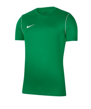 nike-dri-fit-park-trikot-kurzarm-kids-gruen-f302-fussball-teamsport-textil-trikots-bv6905.png