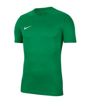 nike-dri-fit-park-vii-big-kurzarm-trikot-kids-f302-fussball-teamsport-textil-trikots-bv6741.png