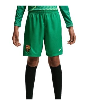 nike-fc-barcelona-torwartshort-2026-2027-kids-f324-ii1740-fan-shop_front.png