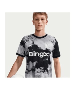 nike-fc-chelsea-london-dri-fit-t-shirt-grau-f098-ii3120-fan-shop_front.png