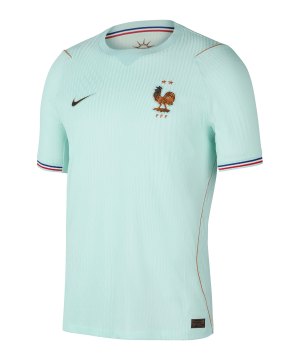 nike-fff-frankreich-trikot-away-wc-2026-gruen-f394-ib5200-fan-shop_front.png