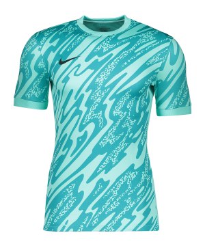 nike-gardien-v-torwarttrikot-tuerkis-f354-fd7482-teamsport_front.png