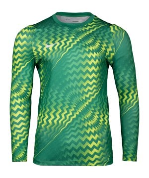 nike-gardien-vi-torwarttrikot-langarm-gruen-f324-hv8306-teamsport_front.png