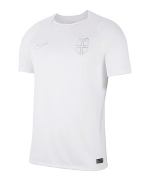 nike-nff-norwegen-trikot-3rd-wc-2026-weiss-f100-iq7379-fan-shop_front.png