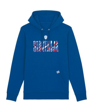 nike-nzsx11ts-slowenien-hoody-em-2024-f463-nzsnzs700-fan-shop_front.png