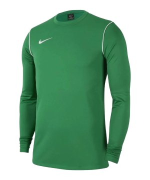 nike-park-20-sweatshirt-kids-gruen-weiss-f302-fj3008-teamsport_front.png